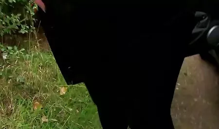 لعنتی توسط جمعیت كانال تلگرام فيلم هاي سكسي یک مرغ و به نوبه خود در گربه او به پایان رسید