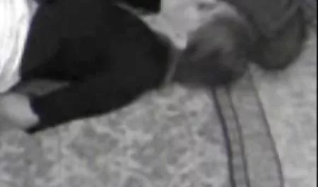 جوان در اتاق خواب فلم سكسي خارجي عشق می ورزد